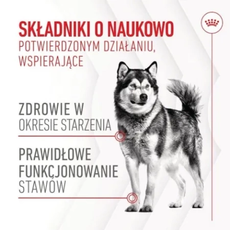 Royal Canin Ageing Przysmak Dla Psa Seniora 240g