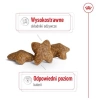 Royal Canin Mini Adult Sucha Karma Dla Psa Małego 2kg
