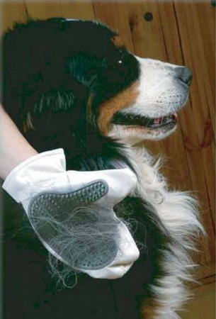 Zolux Rękawica Do Mycia Masażu Dla Psa Usuwa Sierść