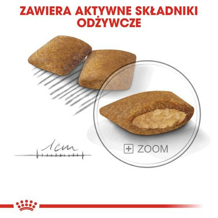 Royal Canin Mini Exigent Karma Dla Psa Małego 3kg