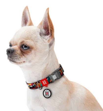 WAUDOG Obroża Dla Psa Potworki Z Adresówką QR M