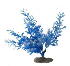 Zoologia-Roślinka A Mix Kolorów