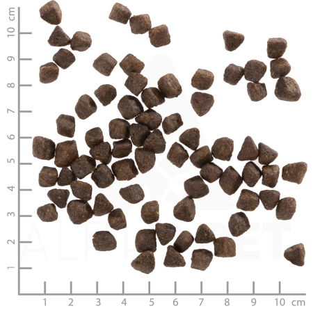 Wolfsblut Cold River Puppy Karma Dla Szczeniąt Pstrąg 2kg