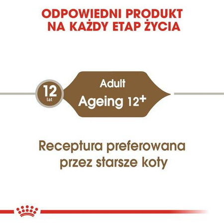 Royal Canin Ageing +12 Karma Mokra Dla Kota w Galaretce 85g