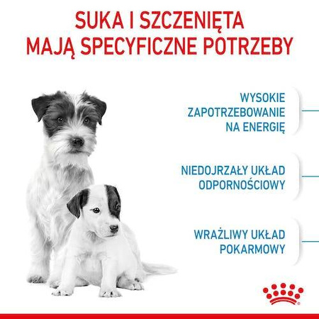 Royal Canin Mini Starter Mother Babydog Karma dla Szczeniąt 1kg