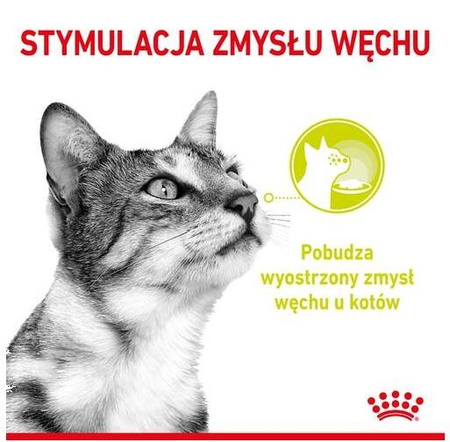 Royal Canin Sensory Smell Karma Mokra Dla Kota w Sosie 85g
