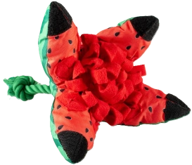 Duvo+ Zabawka na Przysmaki dla Psa Arbuz 37x37x26cm