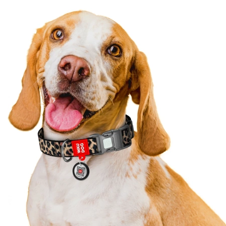 WAUDOG Nylon Obroża Dla Psa Cętki Z Adresówką QR M