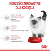 Royal Canin Kitten Karma Sucha Dla Kociąt 4-12 2kg