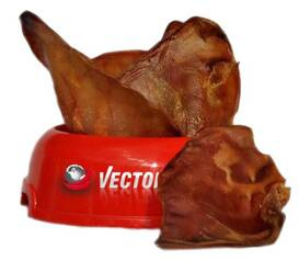 Vector-Food Przysmak Dla Psa Ucho Wieprzowe Srednie 10szt