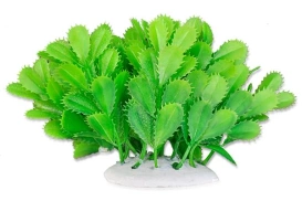 Happet Roślina do akwarium Folia 10cm / 1F10