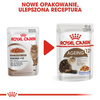 Royal Canin Ageing +12 Karma Mokra Dla Kota w Galaretce 85g
