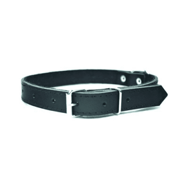 Chaba Skórzana Obroża Dla Psa 12mm/35cm Czarna