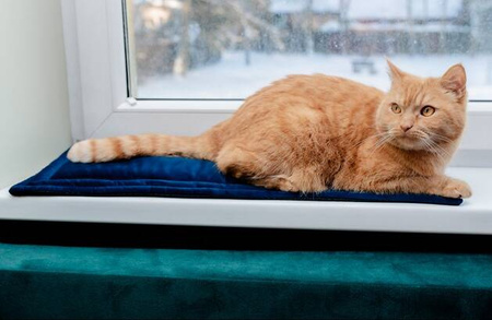 MIMIKO Pets Mata Dla Kota 25x70cm Granat