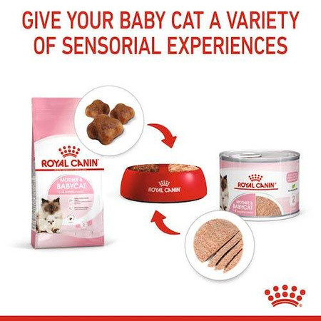 Royal Canin Mother Babycat Mousse Mus dla Kociąt Kotek Karmiących 195g