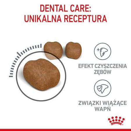 Royal Canin Dental Care Karma Sucha dla Kota 400g
