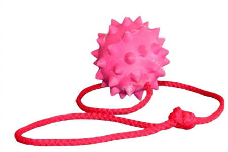 Fixi Piłka Aportowa dla Psa "3" Kolec