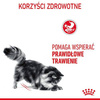 Royal Canin Digestive Care Karma Mokra Dla Kota Sos 85g