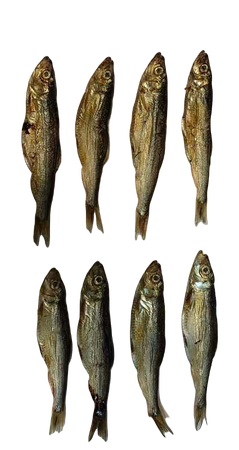 Arami Przysmak Dla Psa Szprot Bałtycki Suszony 200g