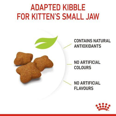 Royal Canin Kitten Sterilised Karma Sucha Dla Kociąt 400g