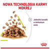 Royal Canin Sensory Smell Karma Mokra Dla Kota w Sosie 85g