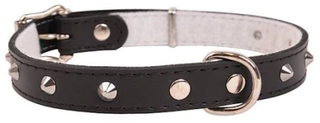 Dino Obroża Skórzana Dla Psa Ozd 20mm7cm Czarna