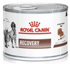 Royal Canin VD Recovery Karma Dla Psa Kota 195g