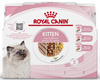 Royal Canin Feline Kitten Karma Mokra Dla Kociąt 4x85g