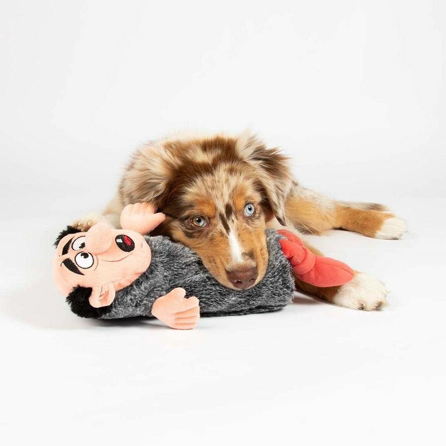 11747391 goffa sullen ポーカーズ ours furvest Back on Track przeciwdeszczowa kurtka dla psa , kurtki dla psa