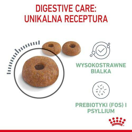 Royal Canin Digestive Care Karma Sucha Dla Kota 400g