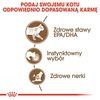 Royal Canin Ageing +12 Karma Mokra Dla Kota w Galaretce 85g