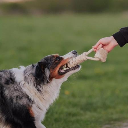 Dingo Gryzak dla Psa z Drewna Kawowego 39cm