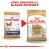 Royal Canin Sucha Karma Dla Psa Rasy Chihuahua 500g