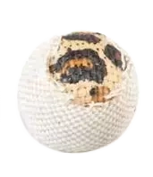 Yarro Zabawka dla Kota Piłeczka Panterka 4,5cm