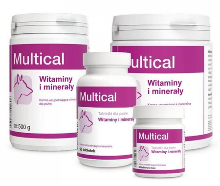 Dolfos Dolvit Multical 90 Tabletek