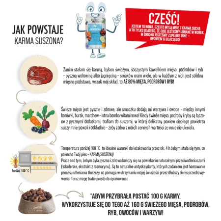 Dolina Noteci Premium Karma Dla Psa Gęś 9kg