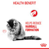 Royal Canin Hairball Care Karma Mokra Dla Kota w Sosie 85g