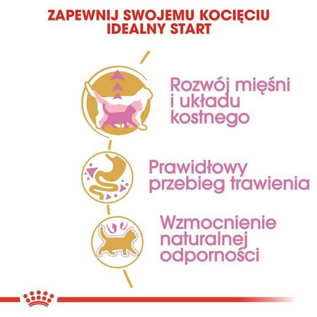 Royal Canin Karma Dla Kociąt Rasy Brytyjski Krótkowłosy 400g