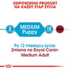 Royal Canin Karma Mokra Dla Szczeniąt Ras Średnich 140g