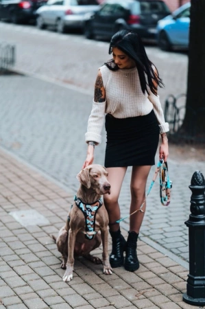 Matteo Smycz Dla Psa Regulowana 25mm/220cm Piespresso