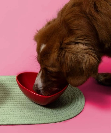 Coockoo Heart Miska dla Psa Serce Czerwone 480ml