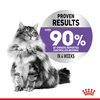 Royal Canin Appetite Control Care Karma Dla Kota Sos 85g