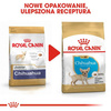 Royal Canin Karma Dla Szczeniąt Rasy Chihuahua 500g