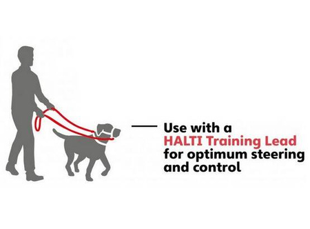 Halti Kantarek Obroża Dla Psa Uzdowa 4 Czarna