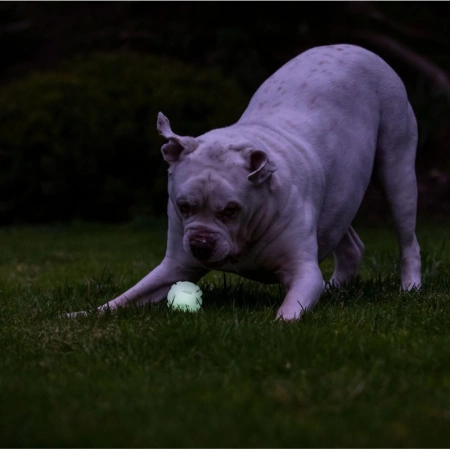 Chuckit! Max Glow Air Fetch Piłka Dla Psa S Świecąca 2szt