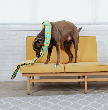 Outward Hound Invincibles Snake Orange/Green 12 Piszczałek