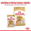 Royal Canin Mokra Karma Dla Szpica Miniaturowego 85g