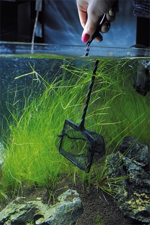 Siatka Aqua Nova Mała 10cm