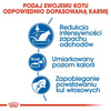 Royal Canin Indoor Karma Sucha Dla Kota 400g
