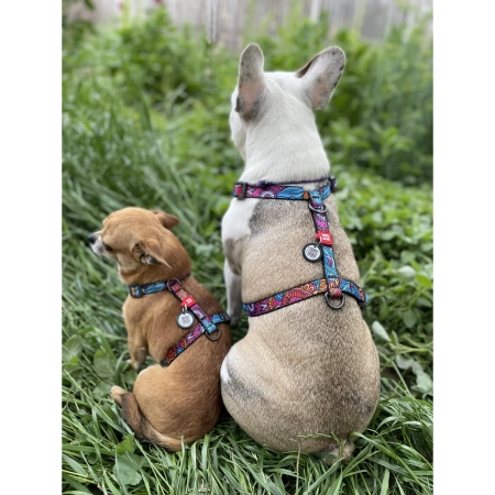 WAUDOG Nylonowe Szelki Dla Psa Lato Adresówka QR XL